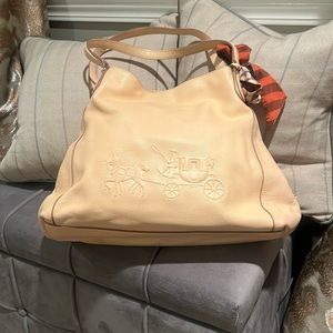 Coach horse and carriage